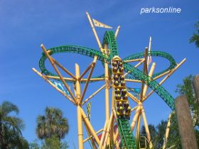 Cheetah Hunt Kopie.jpg