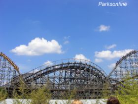 Gwazi Kopie.jpg