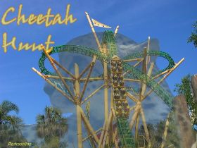 Cheetah Hunt 2.3.jpg